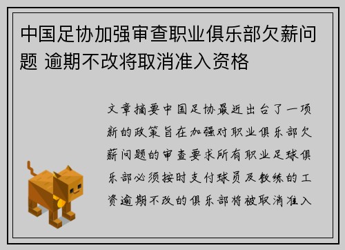 中国足协加强审查职业俱乐部欠薪问题 逾期不改将取消准入资格